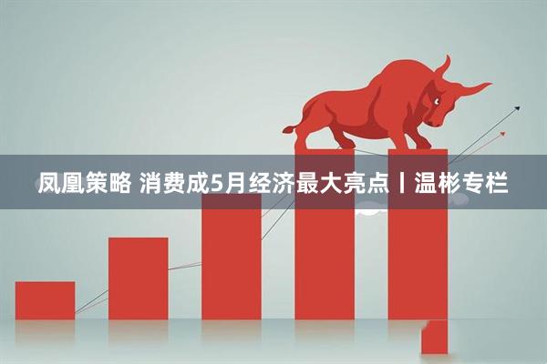 凤凰策略 消费成5月经济最大亮点丨温彬专栏