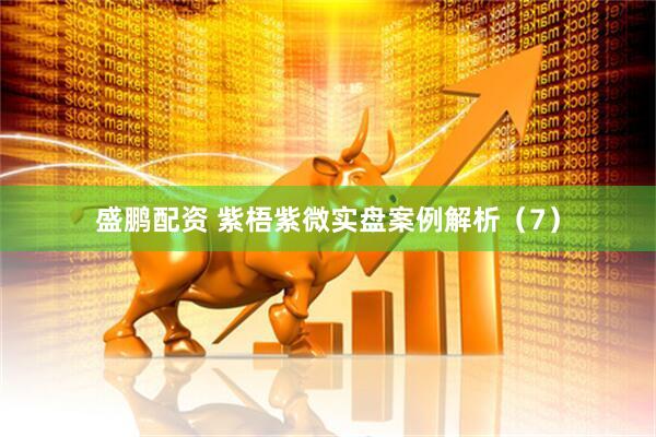 盛鹏配资 紫梧紫微实盘案例解析（7）
