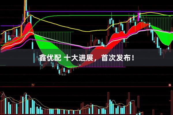 鑫优配 十大进展，首次发布！