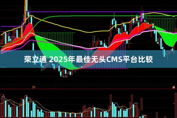 荣立通 2025年最佳无头CMS平台比较