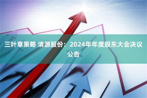 三叶草策略 清源股份：2024年年度股东大会决议公告