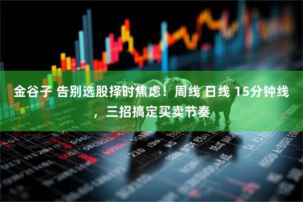 金谷子 告别选股择时焦虑！周线 日线 15分钟线，三招搞定买卖节奏